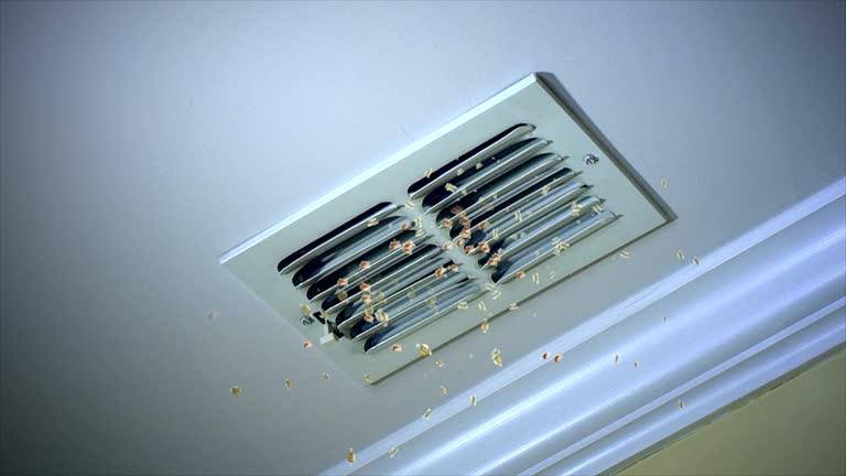Best Residential Air Duct Cleaning  in Goodrich, MI