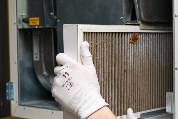 Best HVAC System Cleaning  in Goodrich, MI