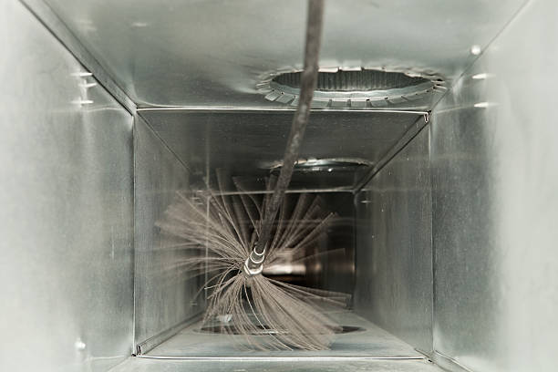 Best Affordable Duct Cleaning Services  in Goodrich, MI
