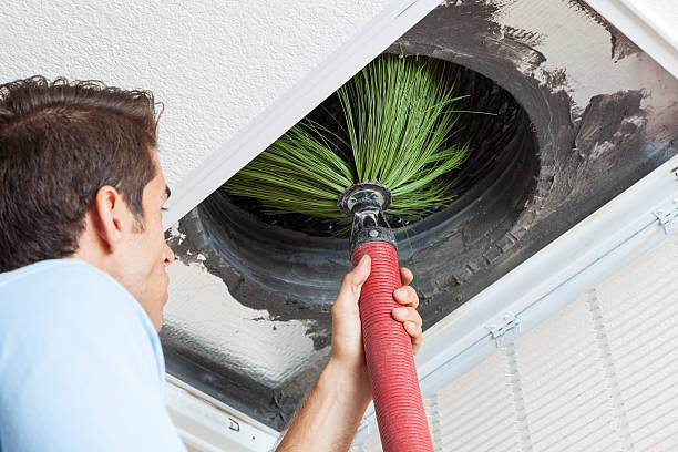 Best Duct Cleaning for Homes  in Goodrich, MI