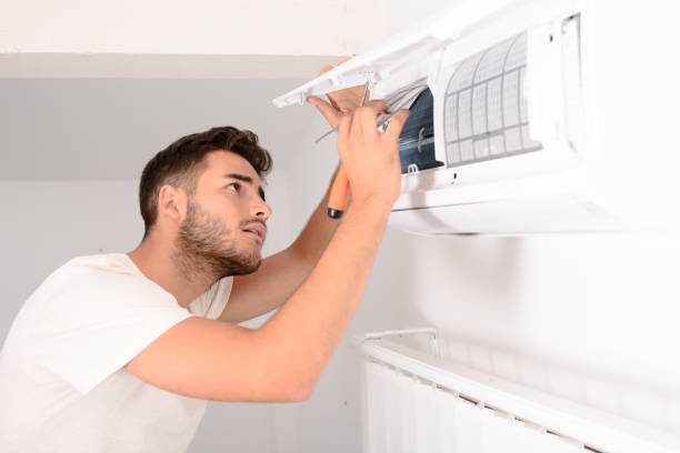 Best Air Duct Cleaning Company Near Me  in Goodrich, MI
